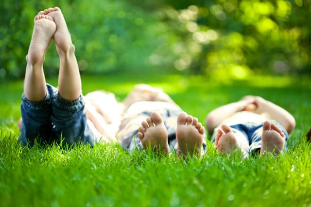 Kinder genießen die Sonne im Gras Symbol für frühkindliche Bildung MV